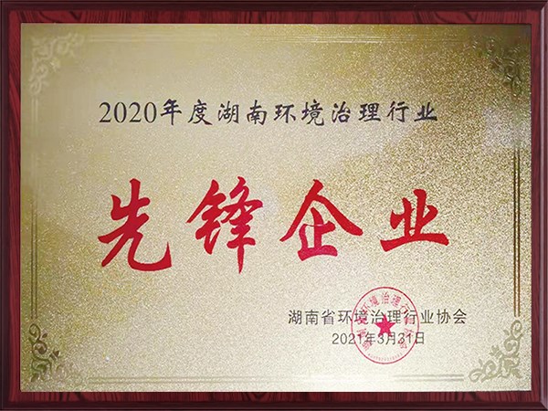 先鋒企業