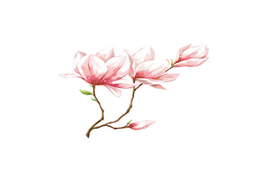 VI設(shè)計(jì)常有的問題